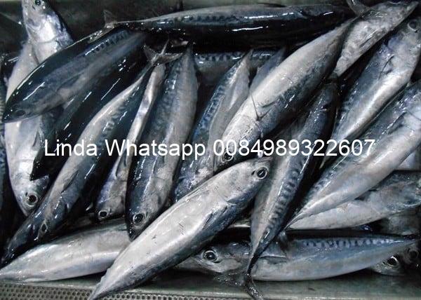 7_e5766373e9af48ccacbe153861011787_grande