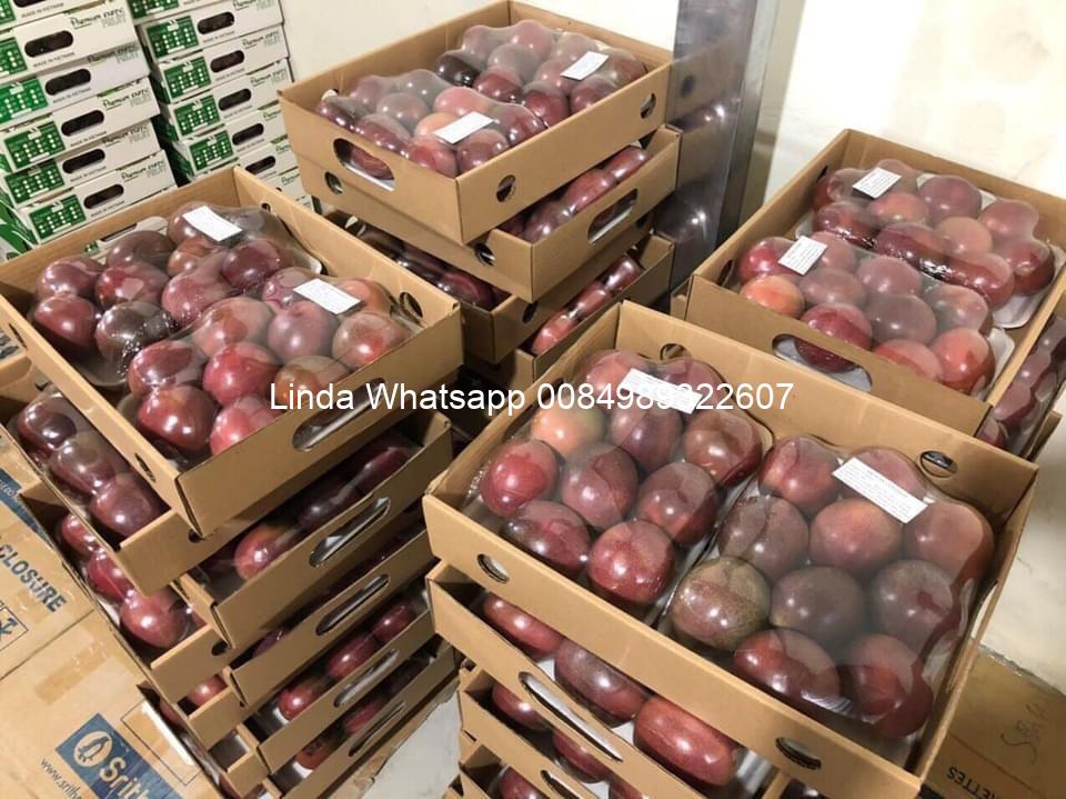 279958832_122668033736197_7775815892664596685_n