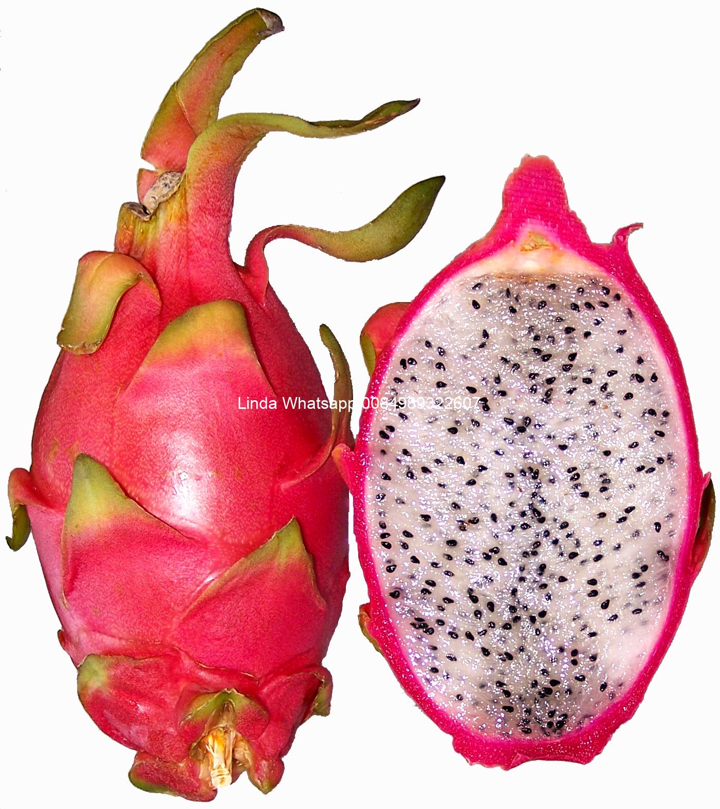 dragon-fruit