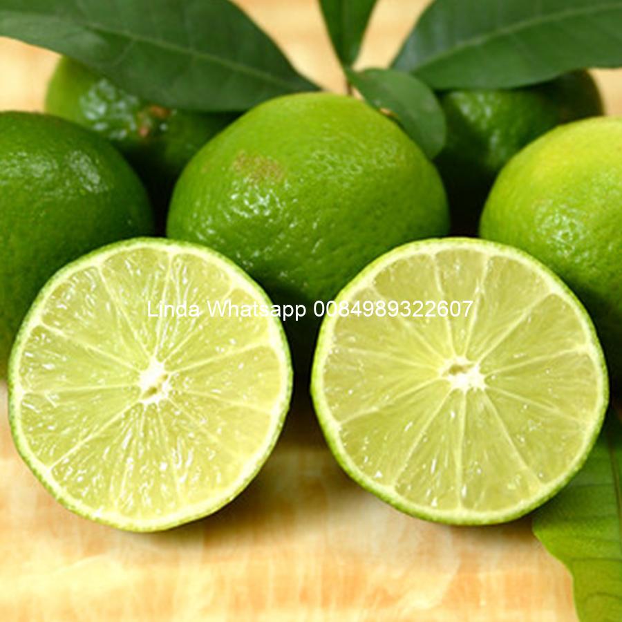 lime (136)