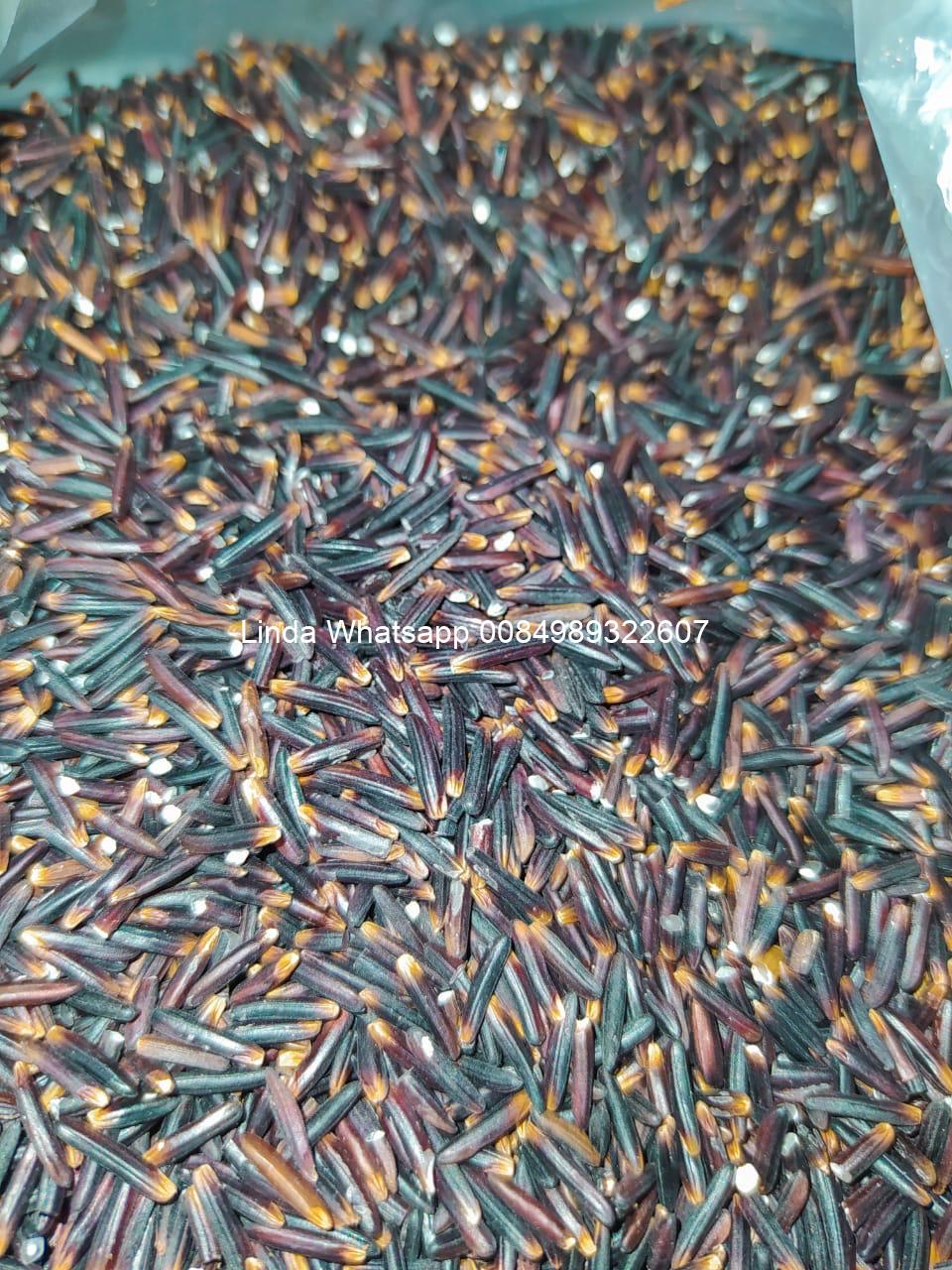 Instant Purple Rice PURPLE RICE - Sunrise INS LTD