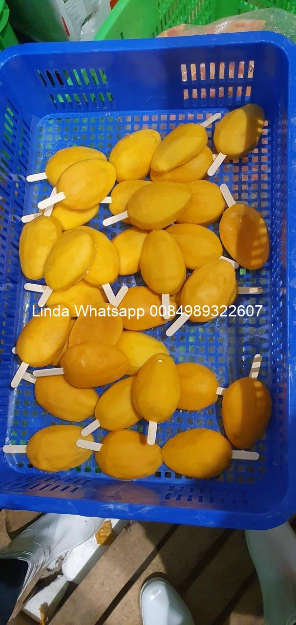 Frozen Mango Skewer Frozen Mango Skewer