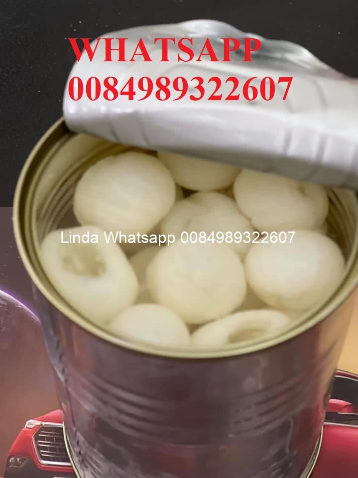 canned lychee canned lychee